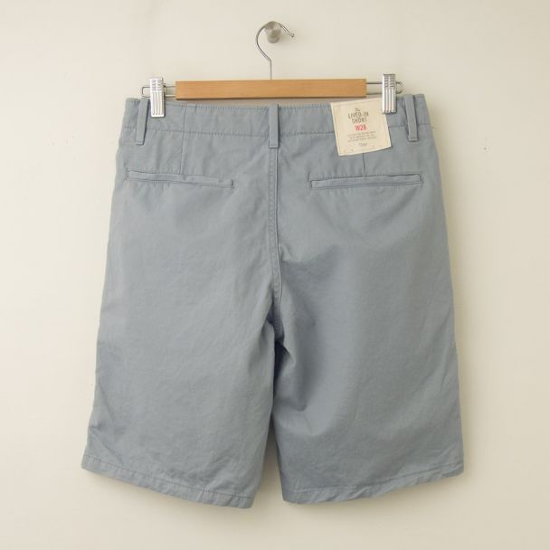 NEW Gap Lived-In Flat Front Short in Blue Star (back) 