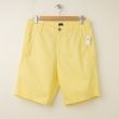NEW Gap Surfwash Bedford 10" Shorts in Pinapple Slices