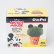 Chia Pet Pet Mickey Mouse Decorative Planter